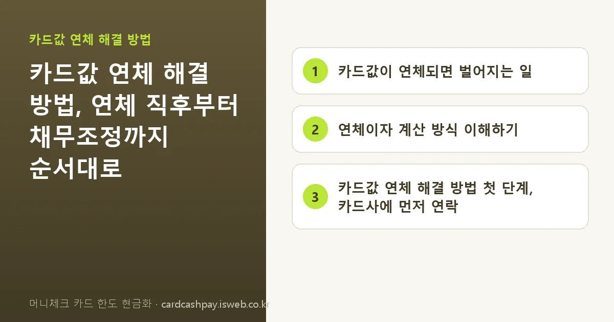 머니체크 카드 한도 현금화 핵심 내용을 정리한 요약 카드