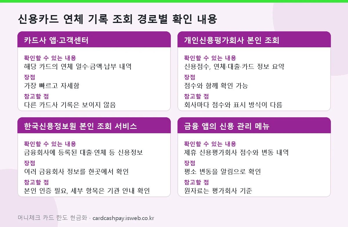 신용카드 연체 기록 조회 신용카드 연체 기록 조회 경로별 확인 내용